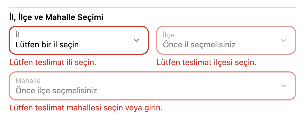 Shopify Plus Ödeme Sayfasında Canlı İl İlçe Mahalle Seçimi